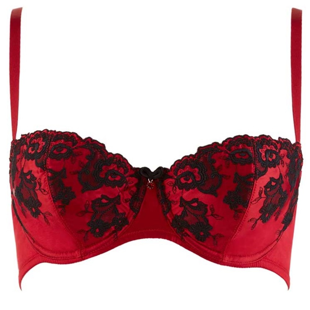 AUBADE Précieux Amour red silk bra French lingerie 36E 36DD NWT